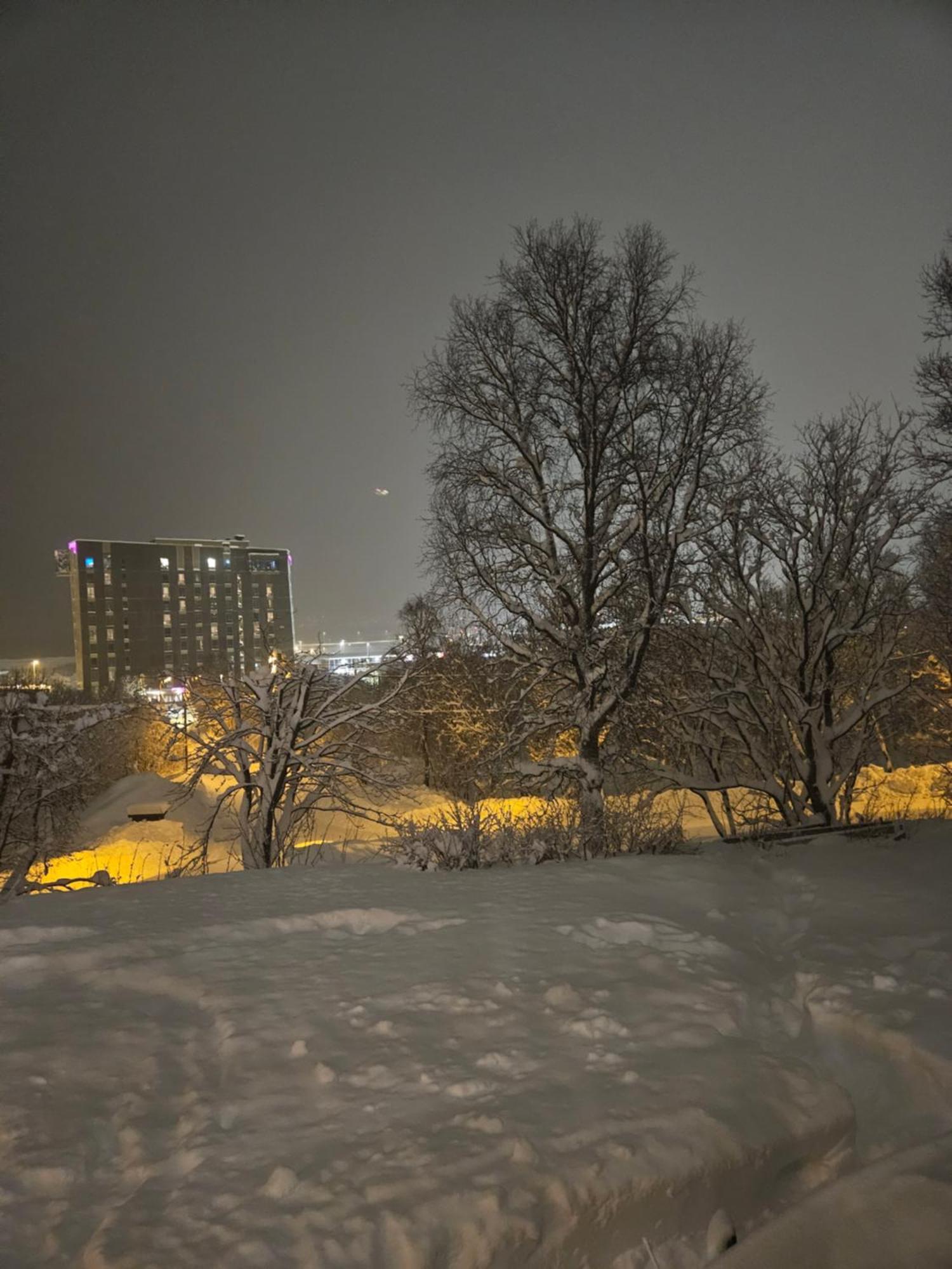 Small Cozy 3 Bed Tromso